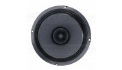 Visaton BG 20 8" Full-Range Speaker 8 Ohm