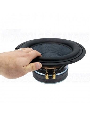 Visaton TIW 250 XS Subwoofer 10" 8 ohm