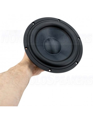 Visaton TIW 200 XS 8" High-End Woofer 8 Ohm