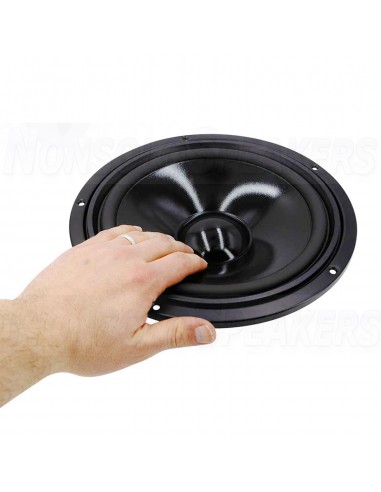 Visaton W 250 S - 8 10" HiFi Woofer 8 Ohm