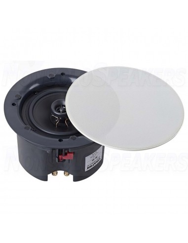 Visaton DL 25 25.4cm 100V Ceiling Speaker