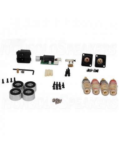 SoundImpress ICE50-2CH-SR Stereo Kit Amplifier|50WPC by ICEpower