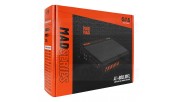 GAS MAD A2-600.1DFL 1-channel amplifier