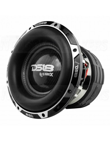 DS18 HOOL-X12.2DHE 12” Subwoofer 4000Watt RMS 2ohm Aluminum Basket
