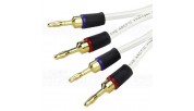 Van Den Hul THE ARCTIC Silver Plated OFC Copper Banana connector