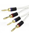 Van Den Hul THE ARCTIC Silver Plated OFC Copper Banana connector