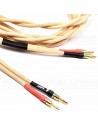 Van Den Hul The WIND MK II HYBRID , Set stereo Single Wire Terminated