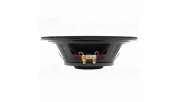 DS18 PRO-NS8.4 8" Shallow Neodymium Full-Range Loudspeaker 4-Ohm