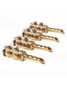 Viablue TS-TUBE - Banana Pluge TS Tube - 24k Gold Plated - 6mm