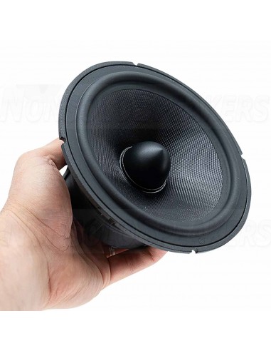 SEAS Lotus Performance PW165/1 - L0018-04S Woofer