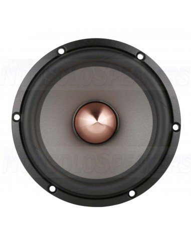 SEAS Excel Graphene W16NX003 - E0073-08 6" Woofer 8 Ohms