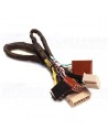 Match PP-PAC 25