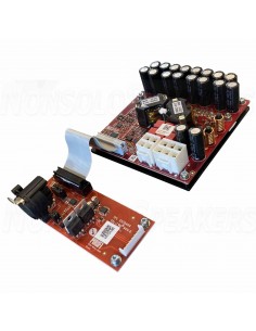 PURIFI EVAL4 1ET9040BA Eval Kit Mono Amplifier Kit