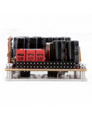 PURIFI 1ET6525SA Mono Amplifier Board