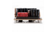 PURIFI 1ET6525SA Mono Amplifier Board