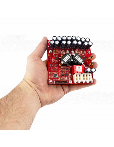 PURIFI 1ET9040BA Eigentakt Mono Amplifier Module