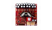 PURIFI 1ET9040BA Eigentakt Mono Amplifier Module