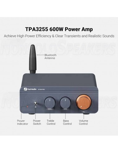Fosi Audio BT20A PRO Stereo Amplifier TPA3255