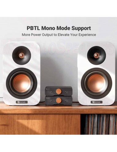 Fosi Audio ZA3 Balanced Stereo Amplifier 2CH Mono Amp