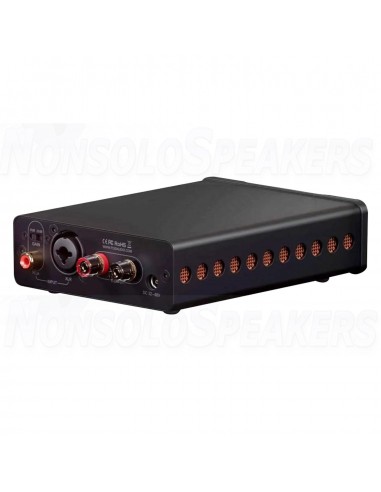Fosi Audio V3 Mono Power Amplifier with 48V 5A Power Supply
