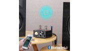 Aiyima T9 Tube phono amplifier with 24V power supply