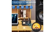 Aiyima T9 Tube phono amplifier with 24V power supply