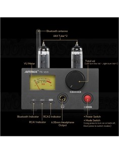 Aiyima T5 Tube MM phono amplifier with 36V power supply 2