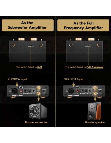 Aiyima A70 MONO Class D Amplifier 300W 4ohm balanced input
