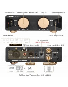 Aiyima A70 MONO Class D Amplifier 300W 4ohm balanced input 2