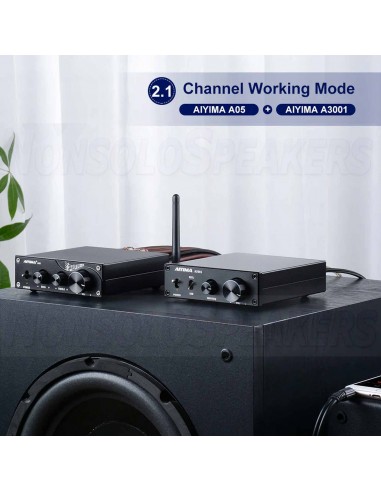 Aiyima A3001 Mono Amplifier 300W 4ohm Full Range or Subwoofer