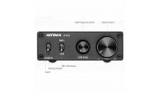 Aiyima A1001 Mono Amplifier 100W 4ohm Wideband or Subwoofer
