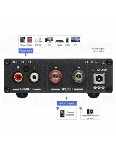 Aiyima A1001 Mono Amplifier 100W 4ohm Wideband or Subwoofer