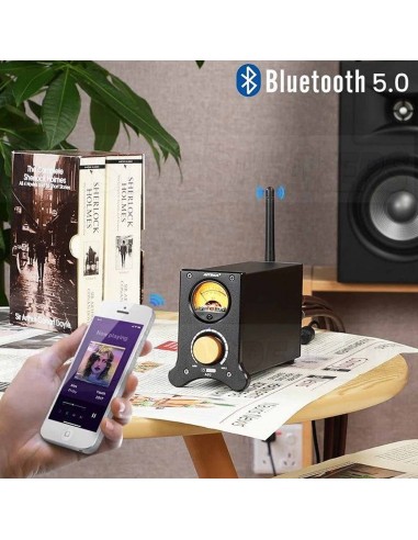 Aiyima A02 Bluetooth Class D Amplifier 2x100W 4 ohm RCA input with 24V power supply