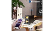 Aiyima A02 Bluetooth Class D Amplifier 2x100W 4 ohm RCA input with 24V power supply