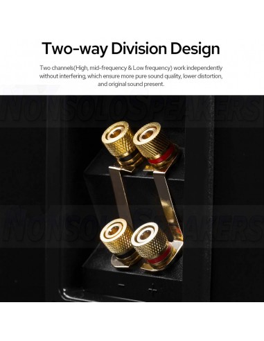 HiVi Swans D3.2MKIII Tower Speakers