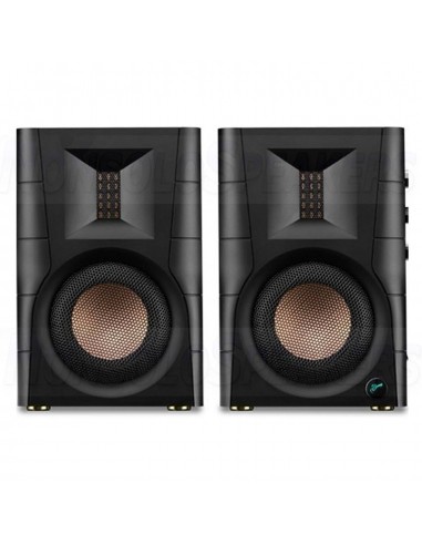 HiVi Swans D100 Active BT Bookshelf Speakers
