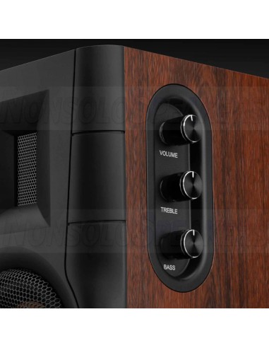 HiVi Swans D100 Active BT Bookshelf Speakers