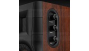 HiVi Swans D100 Active BT Bookshelf Speakers