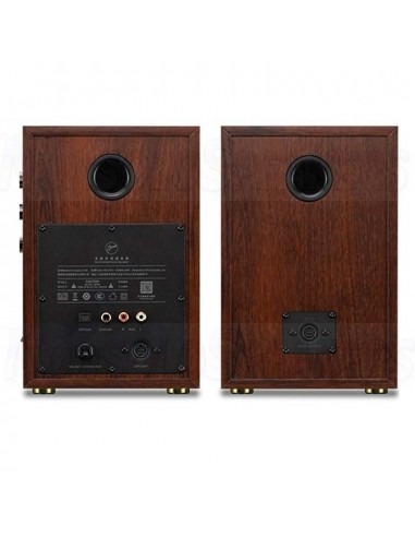HiVi Swans D100 Active BT Bookshelf Speakers