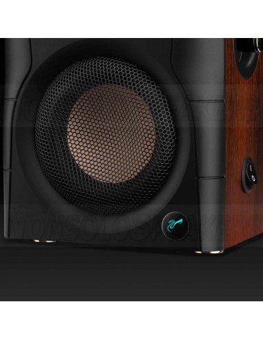 HiVi Swans D100 Active BT Bookshelf Speakers