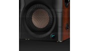 HiVi Swans D100 Active BT Bookshelf Speakers