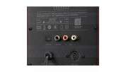 HiVi Swans D100 Active BT Bookshelf Speakers