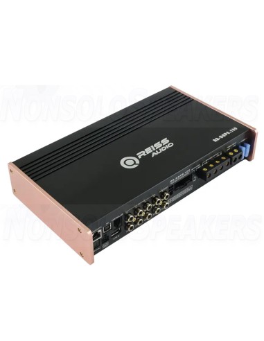 RS-DSP6.100