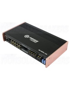 RS-DSP6.100