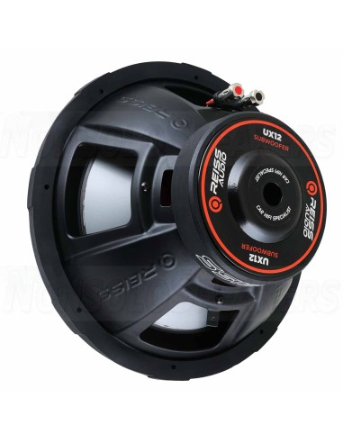 Reiss RS-UX12 12" Subwoofer 250W RMS