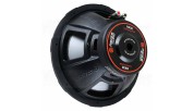 Reiss RS-UX12 12" Subwoofer 250W RMS
