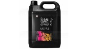 Auto Finesse Lavish Ceramic Foam (5 L)