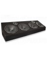 LoudAsHell 8"system of speaker with box