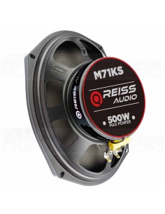 Reiss RS-M710KS 7x10" Coaxial 250W RMS 2
