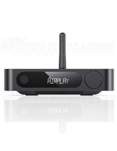 FiiO SR11 Streaming Music Receiver 2